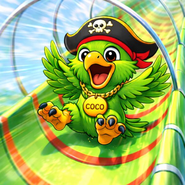 Nouveau toboggan pour les + de 5 ans : Le ONE FAST !